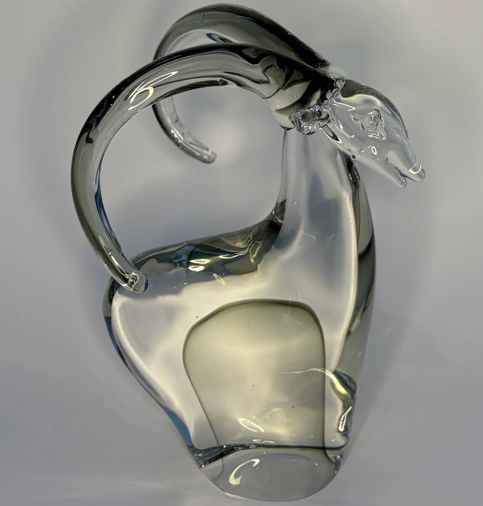 066-clear goat.jpeg