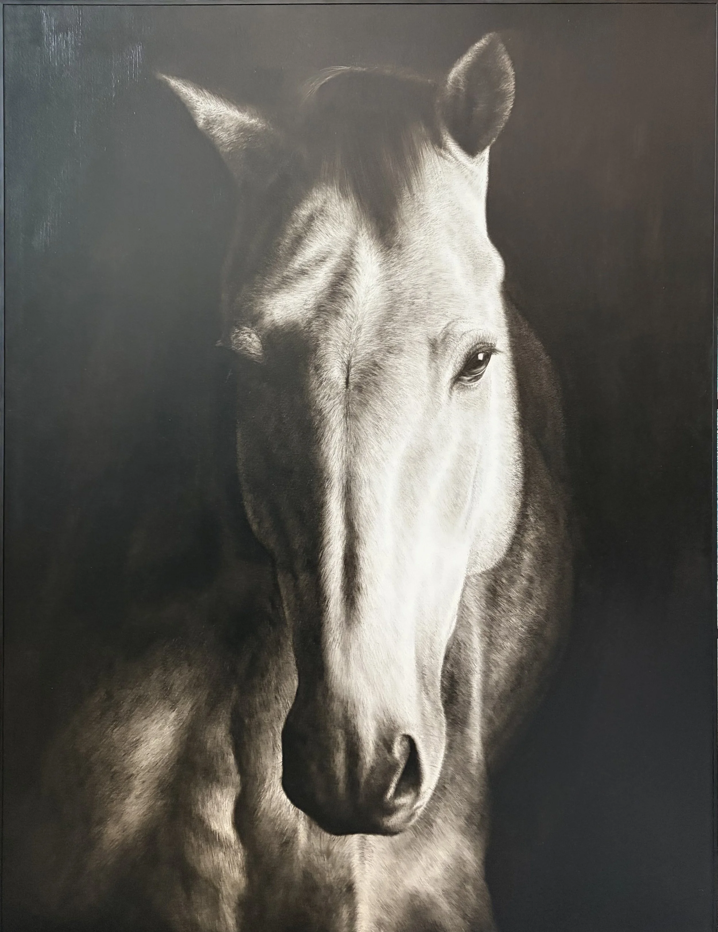 Equine Majesty