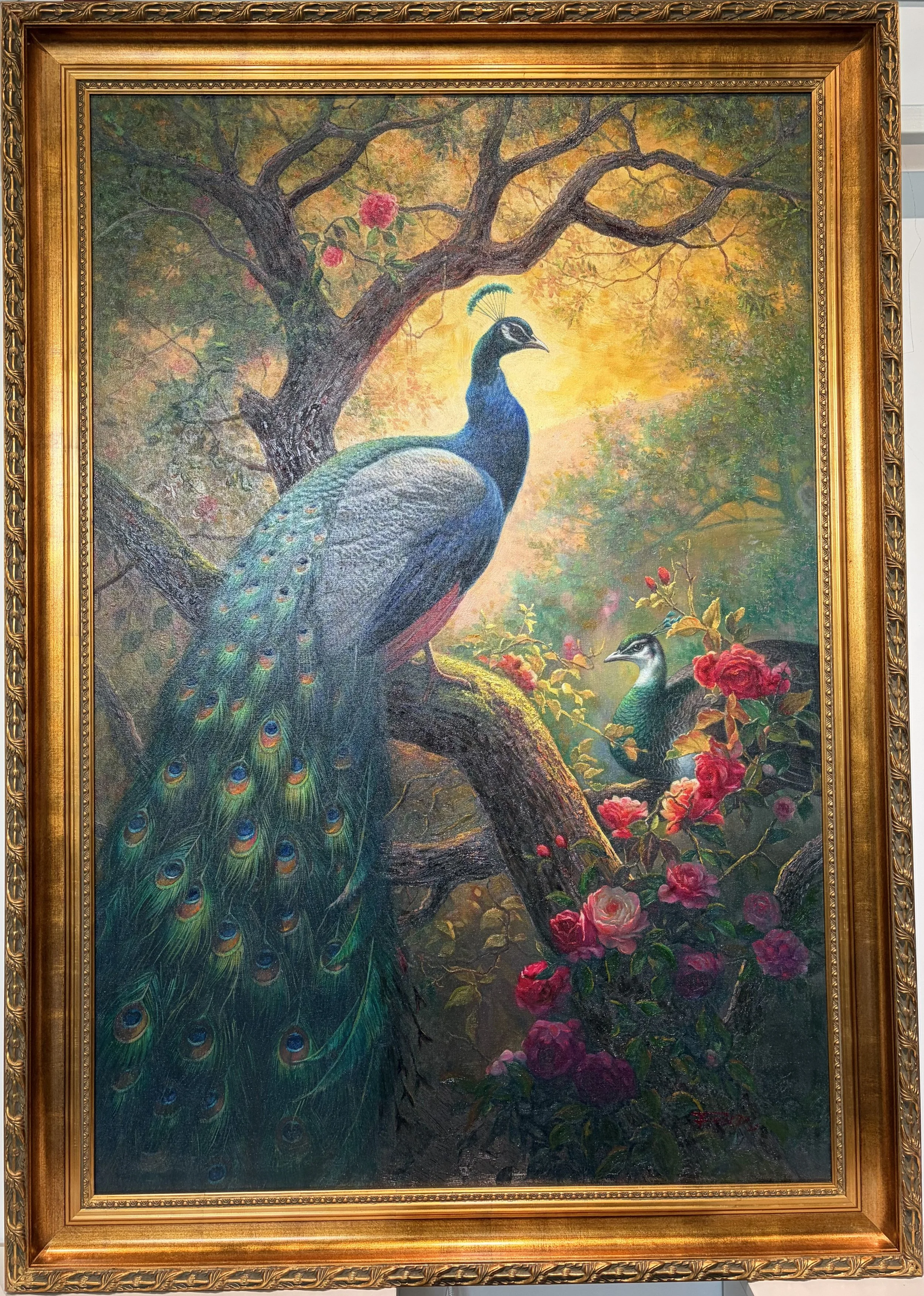 The Regal Peacock
