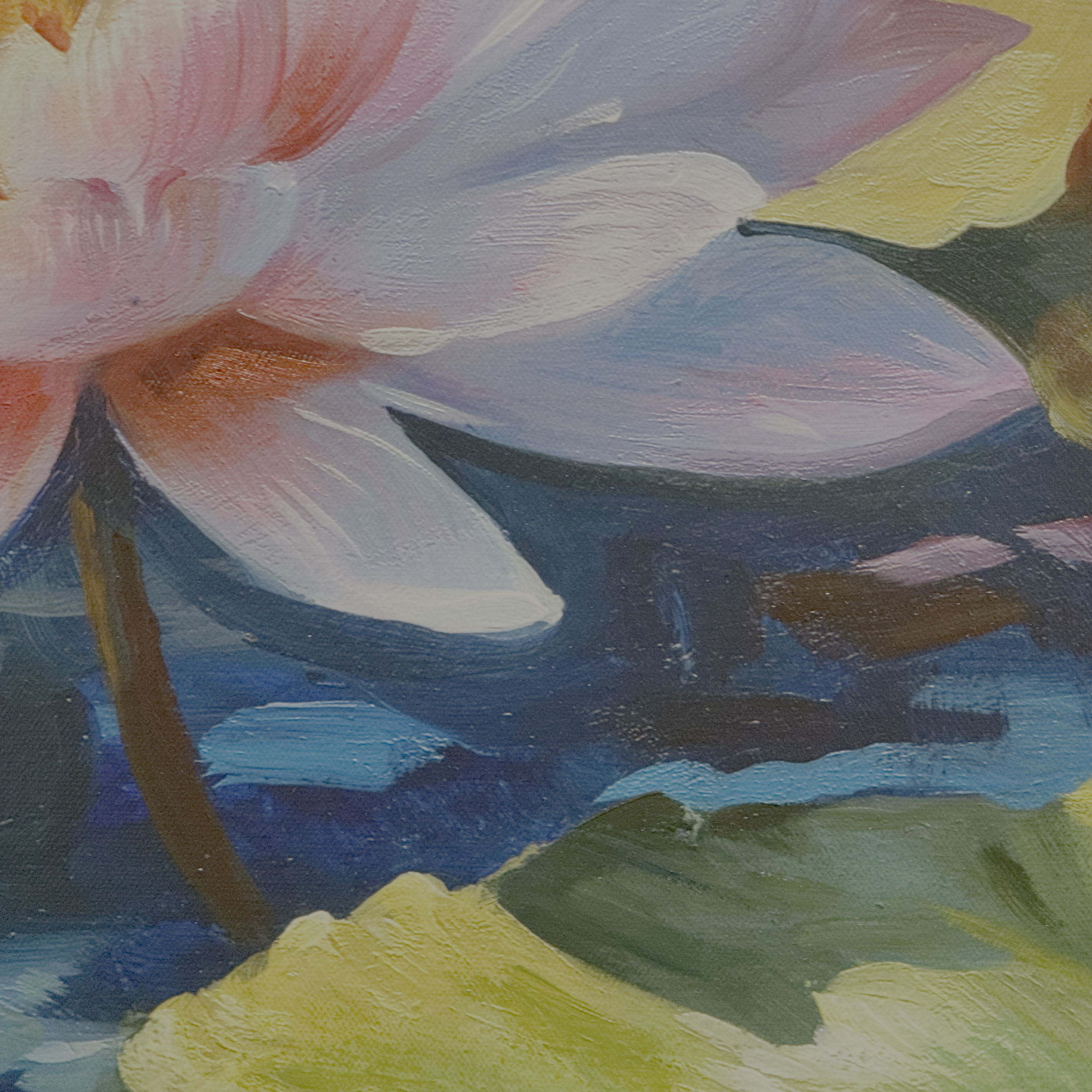 018-03-Lotus Garden.png