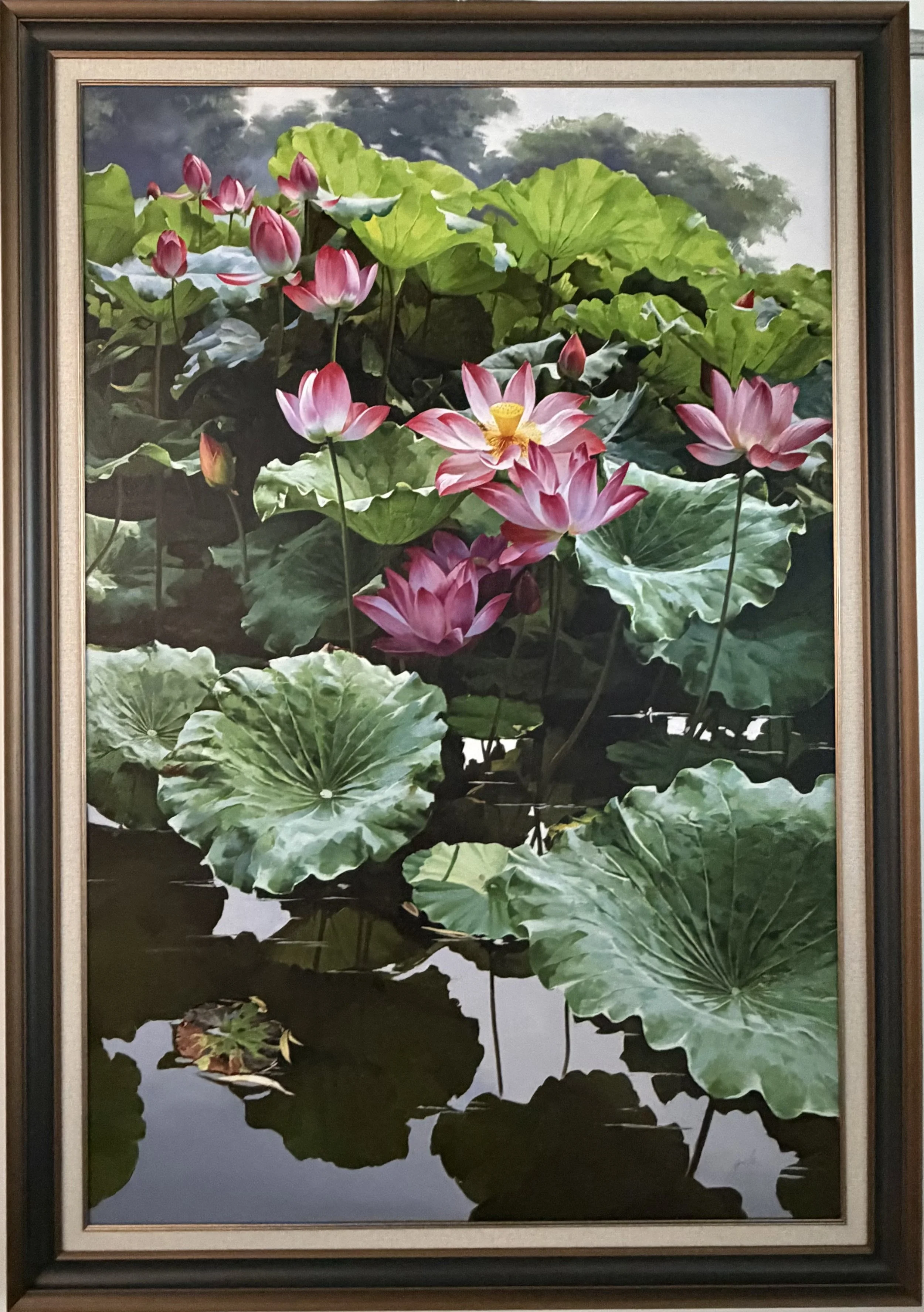 Lotus Reflections