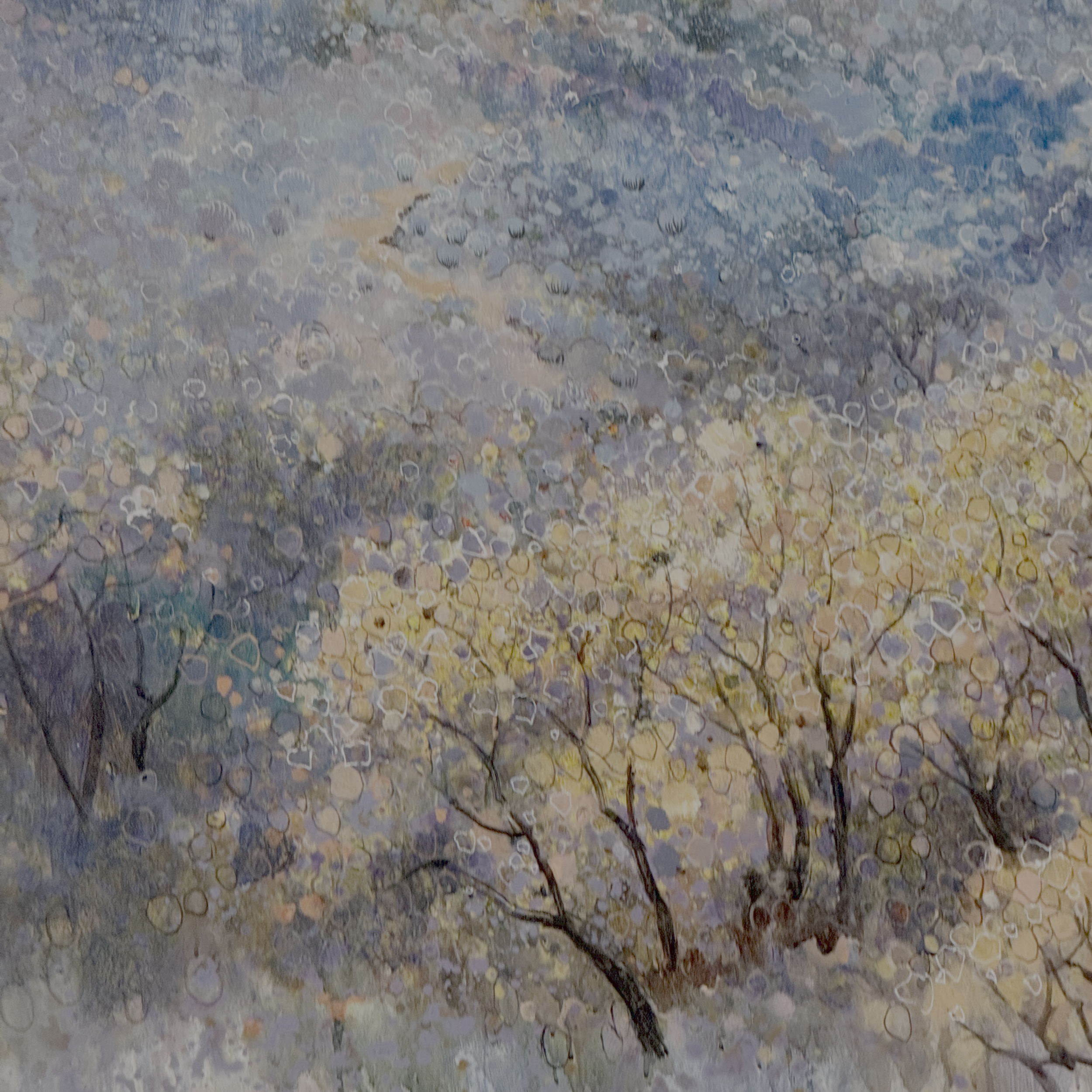 028-01-Valley of the Light.png