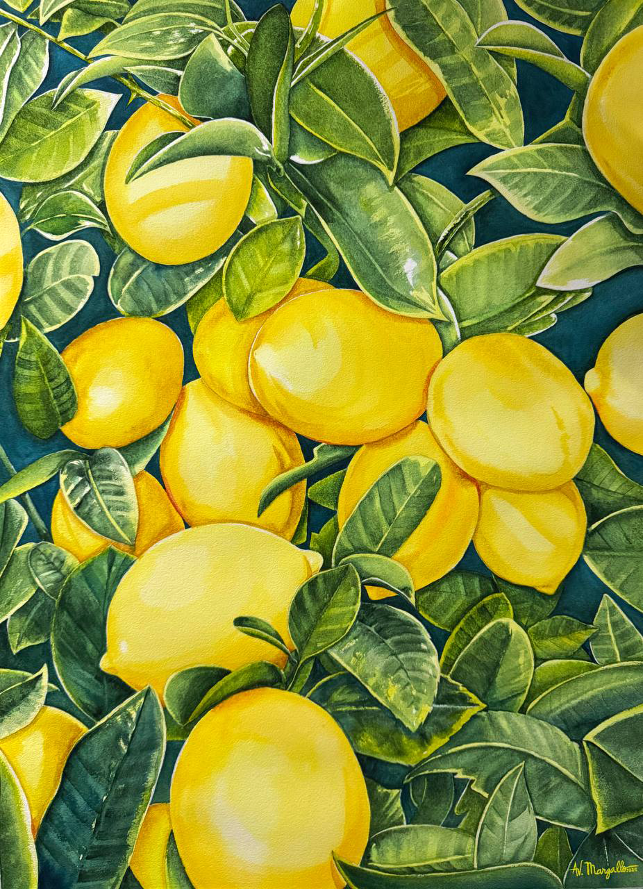Olor de Lemon, 2025 | 30 x 22 inches