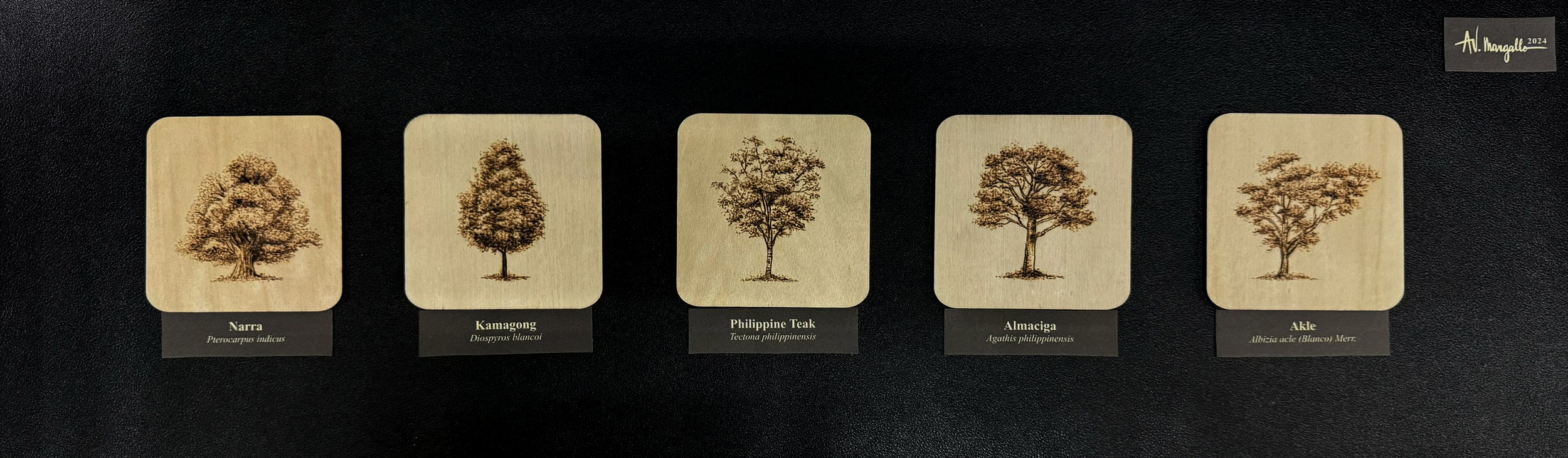 Endangered Trees in the Philippines | Pyrography on wood