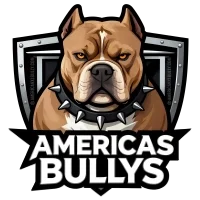 Americas XL Bully