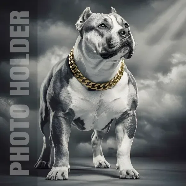 A muscular dog with a chains necklace standing confidently against a cloudy sky background.
