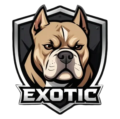 Exotic Bully Dog
