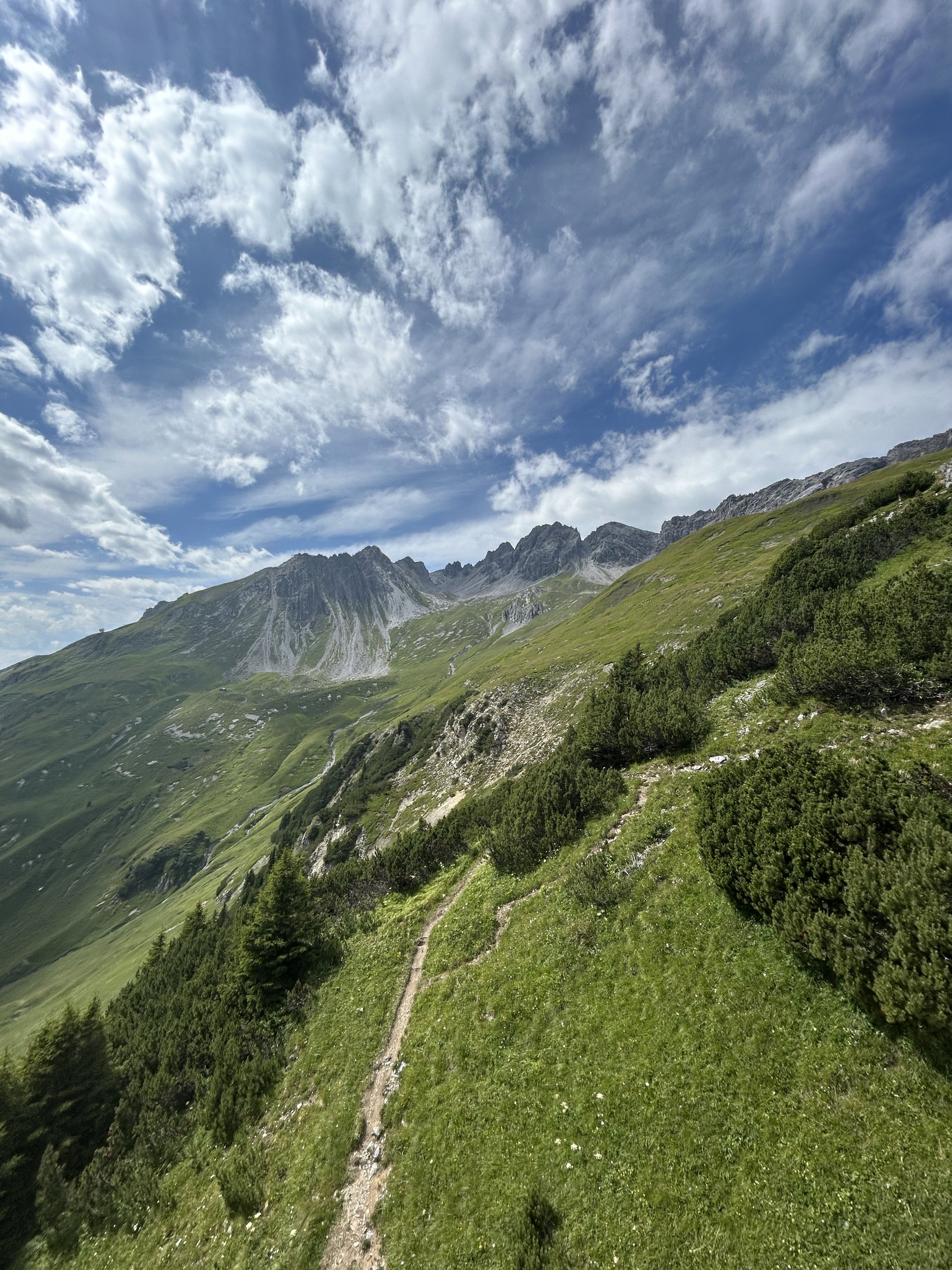 Ein Wanderweg führt durch grüne, bewaldete Hänge in den Bergen unter einem bewölkten Himmel.