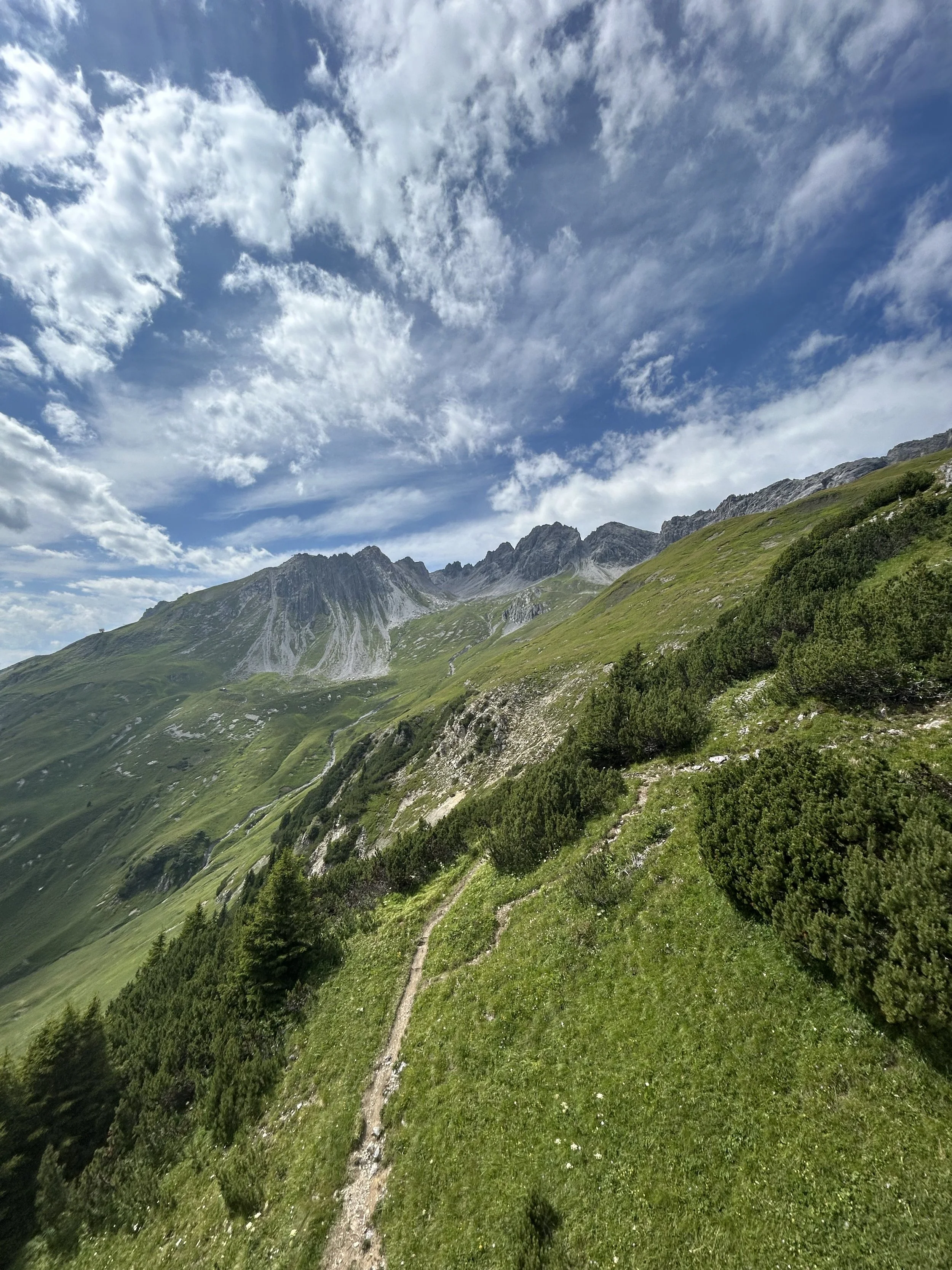 Eine grüne, bewaldete Hügellandschaft mit einem schmalen Pfad, Berge im Hintergrund und einem bewölkten blauen Himmel.