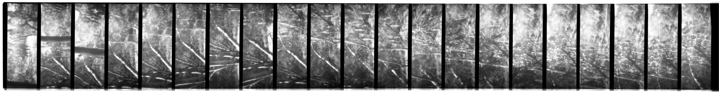 Damage, Zo. 2026. Scan 0287 35mm negative (3/5), Alphington Wetlands (Main Yarra Trail). Captured using a Lomokino hand-crank movie camera. The 24-exposure 35mm film roll was cut for scanning. From the ongoing series, "Bike Paths of Melbourne" (2020 