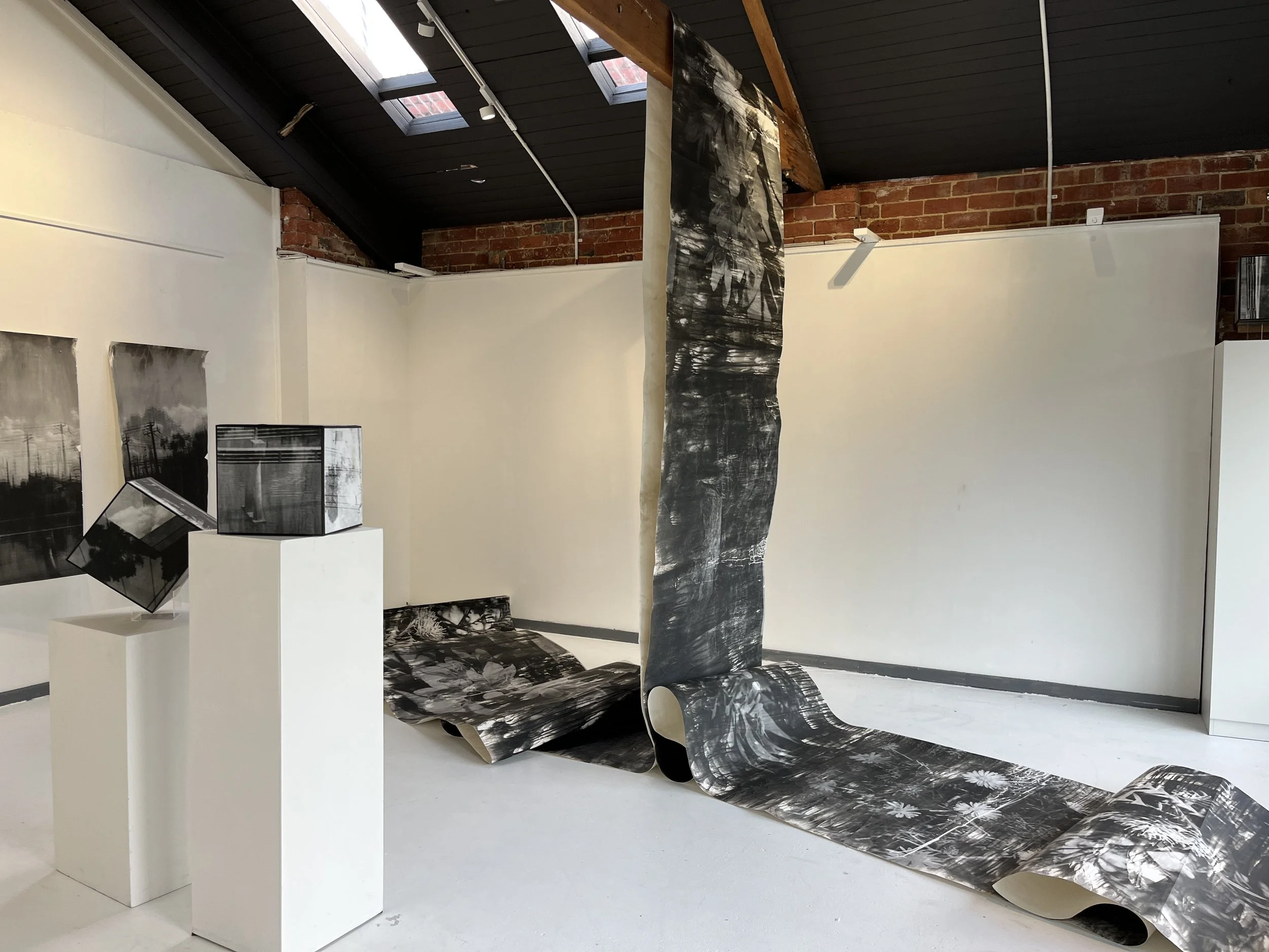 Zo Damage, 2022. Trust, gelatin silver print (continuous roll), 15 metres x 1.1 metres overall. Installation variable. Paradox exhibition installation, CLAW Creative, Fitzroy, 2025. Bowness Photography Prize Finalist and Bowness Photography Prize "Pe