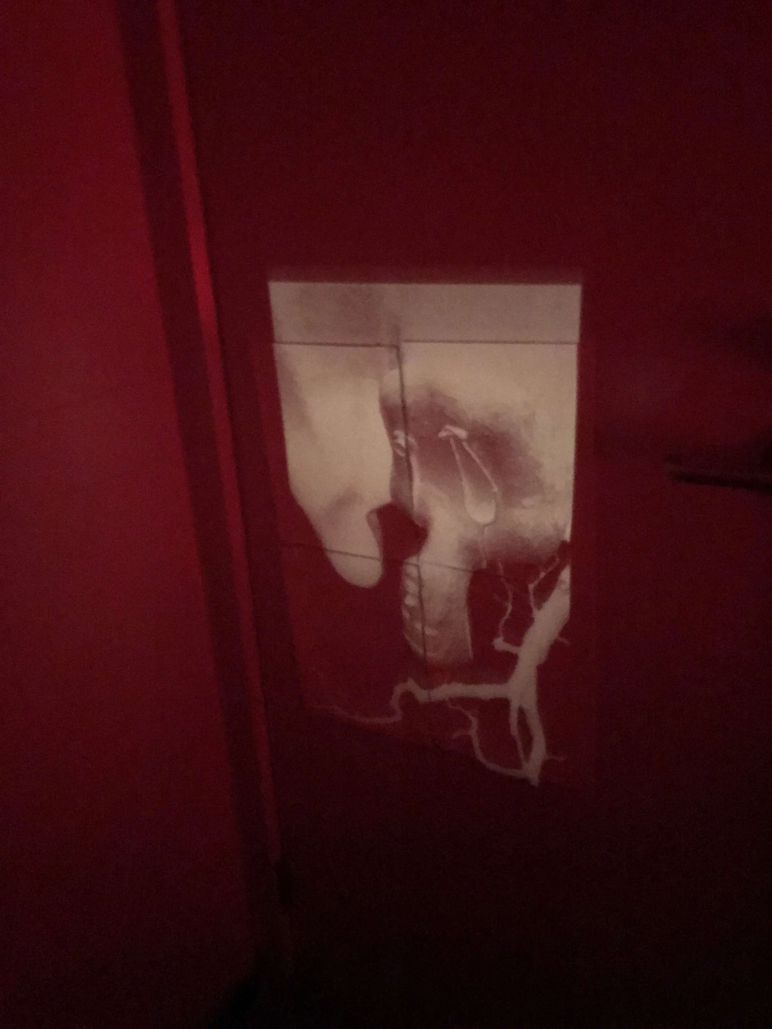 Liquid emulsion treated paper tiled onto the bathroom door. This photograph was taken during the exposure process as the liquid emulsion is light sensitive “silver gelatin” (as with standard photographic paper stock). Safelight is necessary when wor…