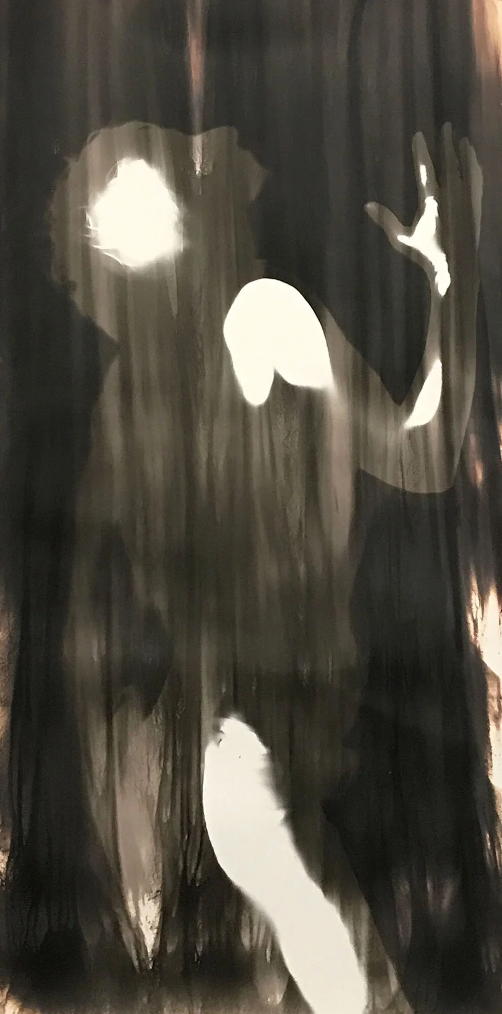 Figure 1. Untitled self-portrait by Zo Damage, 2021. Photogram (unique print) on gelatin silver paper (600x1200mm). Click to open in light box view.