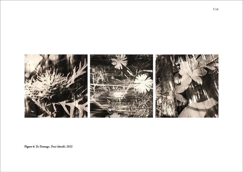 Zo Damage Folio Nov 2022 L27.jpg