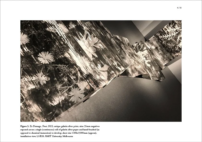 Zo Damage Folio Nov 2022 L26.jpg