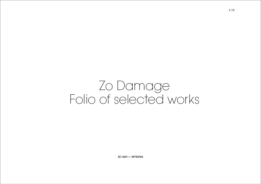 Zo Damage Folio Nov 2022 L2.jpg