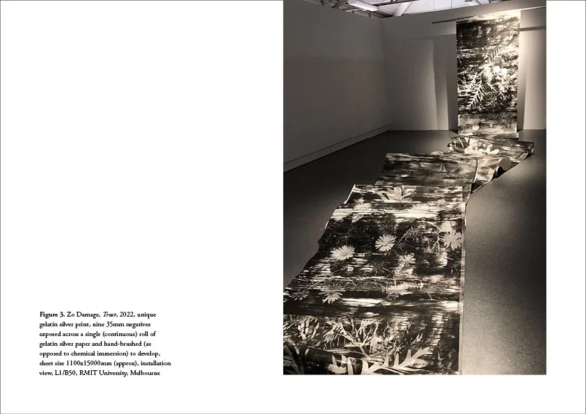 Zo Damage Folio Nov 2022 L24.jpg