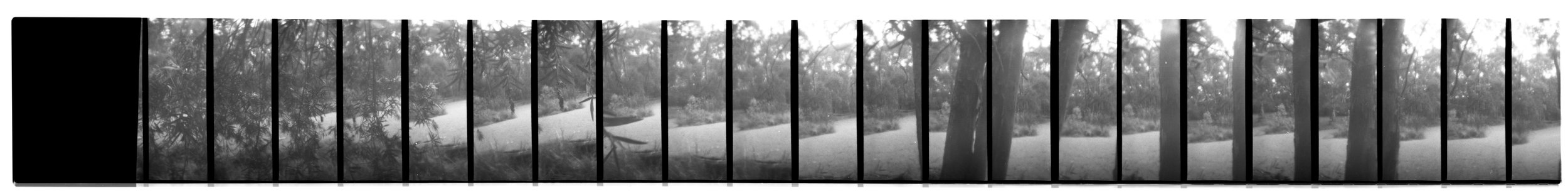 Damage, Zo. 2026. Scan 0313 35mm negative (4/5), Alphington Wetlands (Main Yarra Trail). Captured using a Lomokino hand-crank movie camera. The 24-exposure 35mm film roll was cut for scanning. From the ongoing series, "Bike Paths of Melbourne" (2020 