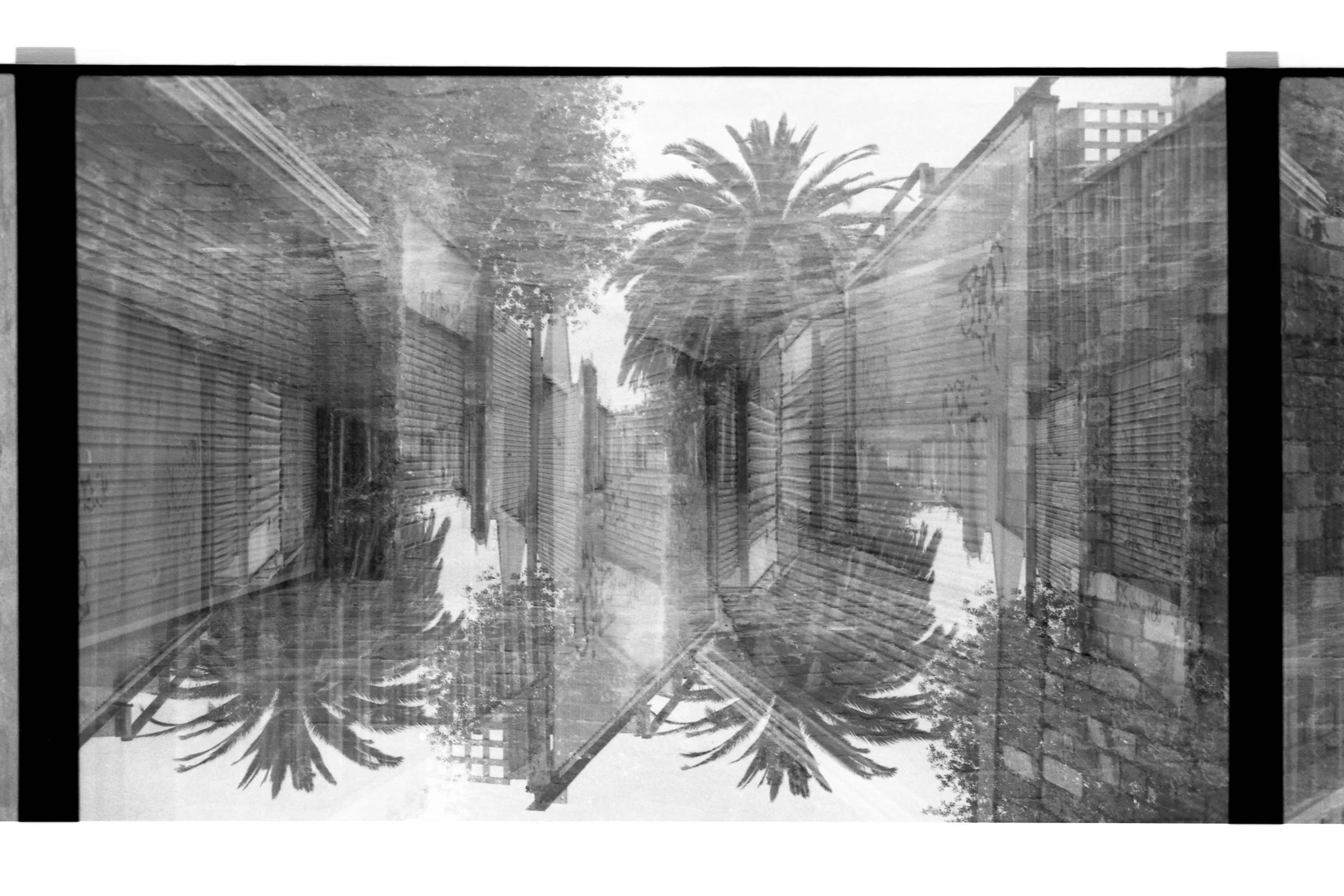 0247 (1) © Zo Damage 2025.jpeg