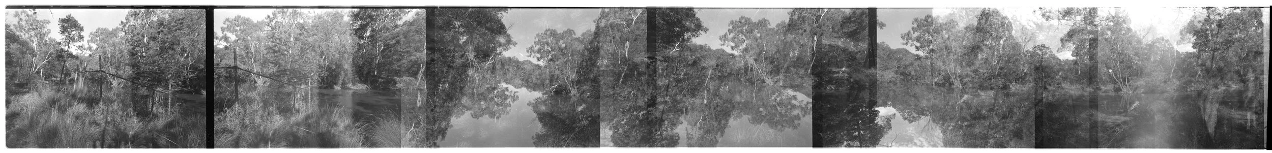 Damage, Zo. 2026. Scan 0304. In-camera multi-exposed 35mm negative, Alphington/Westgarth (Merri Creek Trail). Created using a Canon AE1 manual 35mm film camera (circa 1972). The work comprises a single montage spanning seven sequential frames from a 