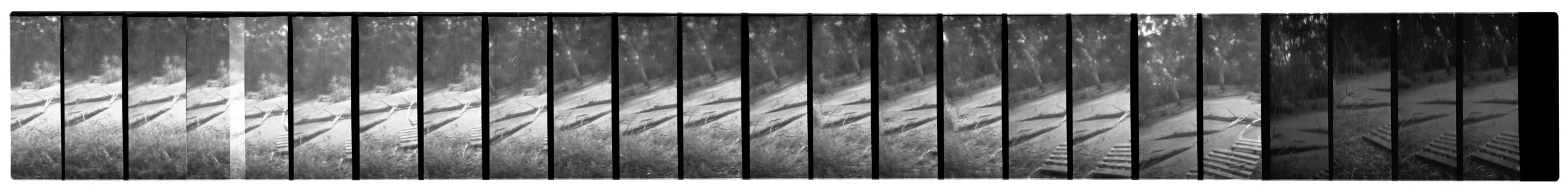 Damage, Zo. 2026. Scan 0311 35mm negative (2/5), Alphington Wetlands (Main Yarra Trail). Captured using a Lomokino hand-crank movie camera. The 24-exposure 35mm film roll was cut for scanning. From the ongoing series, "Bike Paths of Melbourne" (2020 