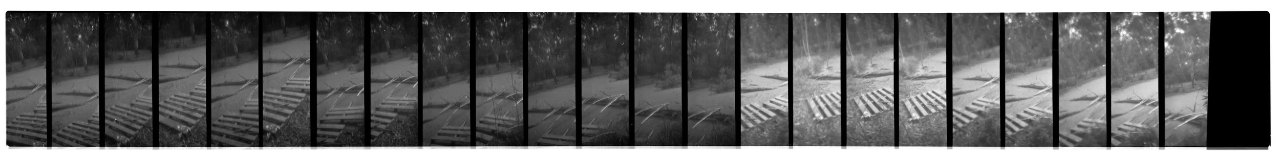Damage, Zo. 2026. Scan 0312 35mm negative (3/5), Alphington Wetlands (Main Yarra Trail). Captured using a Lomokino hand-crank movie camera. The 24-exposure 35mm film roll was cut for scanning. From the ongoing series, "Bike Paths of Melbourne" (2020 