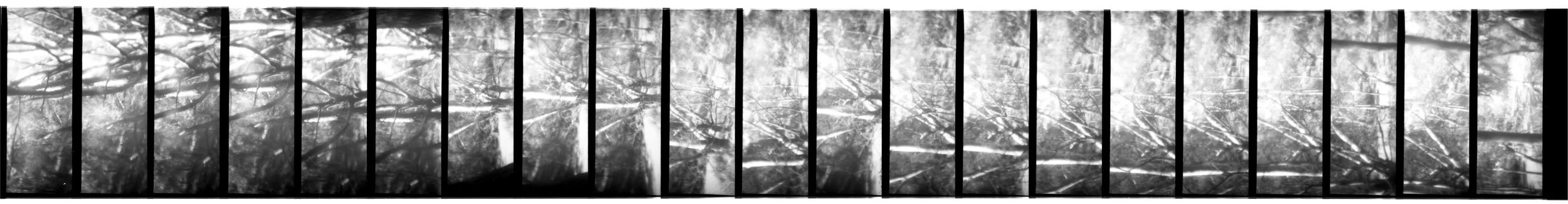 Damage, Zo. 2026. Scan 0286 35mm negative (2/5), Alphington Wetlands (Main Yarra Trail). Captured using a Lomokino hand-crank movie camera. The 24-exposure 35mm film roll was cut for scanning. From the ongoing series, "Bike Paths of Melbourne" (2020 