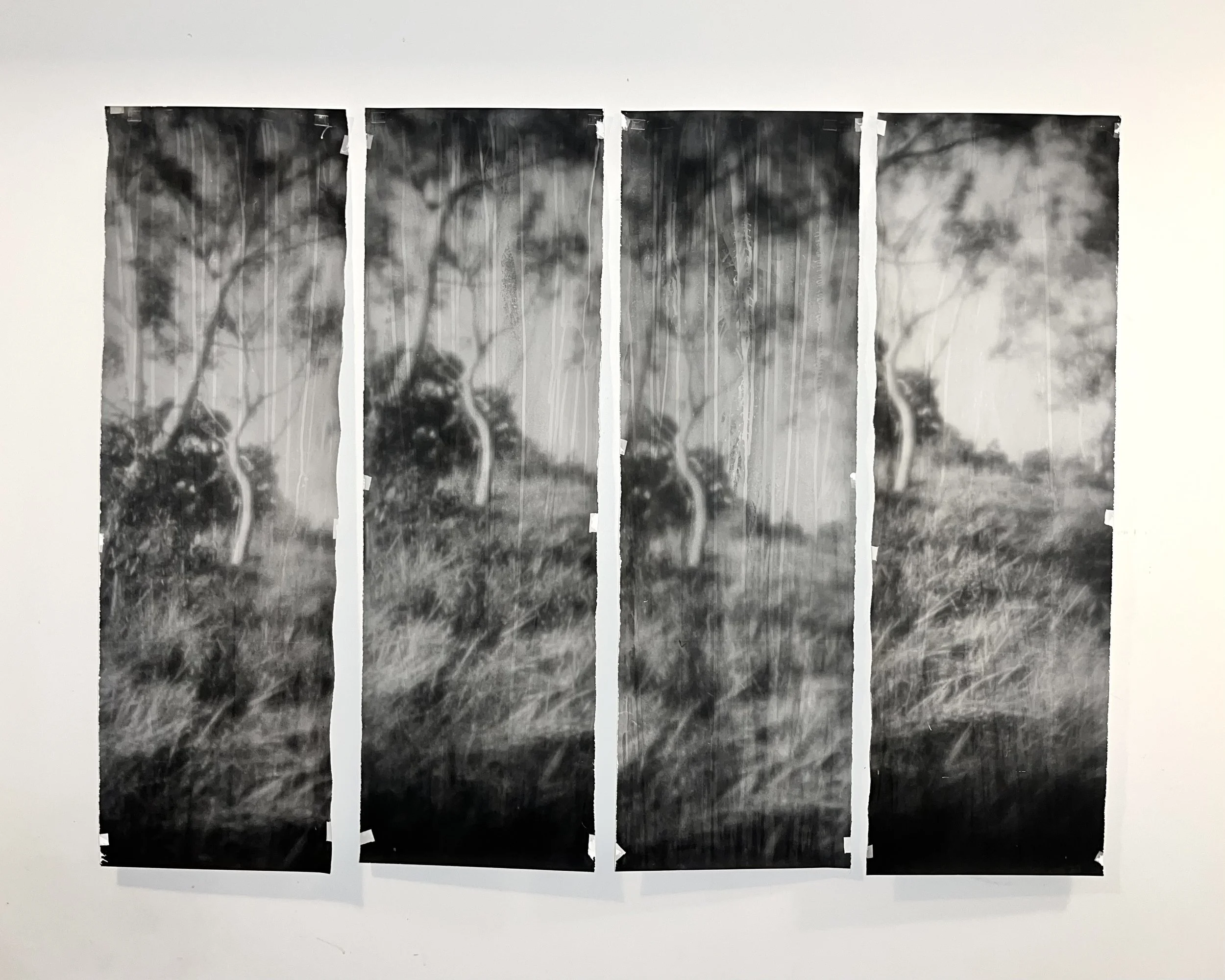 Zo Damage, 2025. Inner Circle, gelatin silver polyptych, 1.8 metres x 1.27 metres overall. Being of Light exhibition installation view, Fitzroy Public Gallery, Fitzroy, 2025