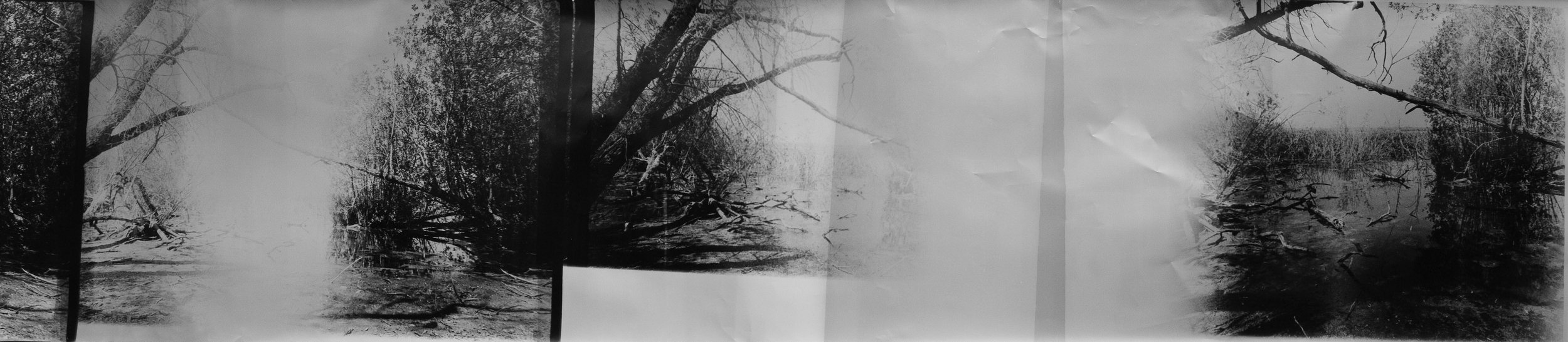 Zo Damage, 2025. Reprieve, gelatin silver print, 5 metres x 1.27 metres