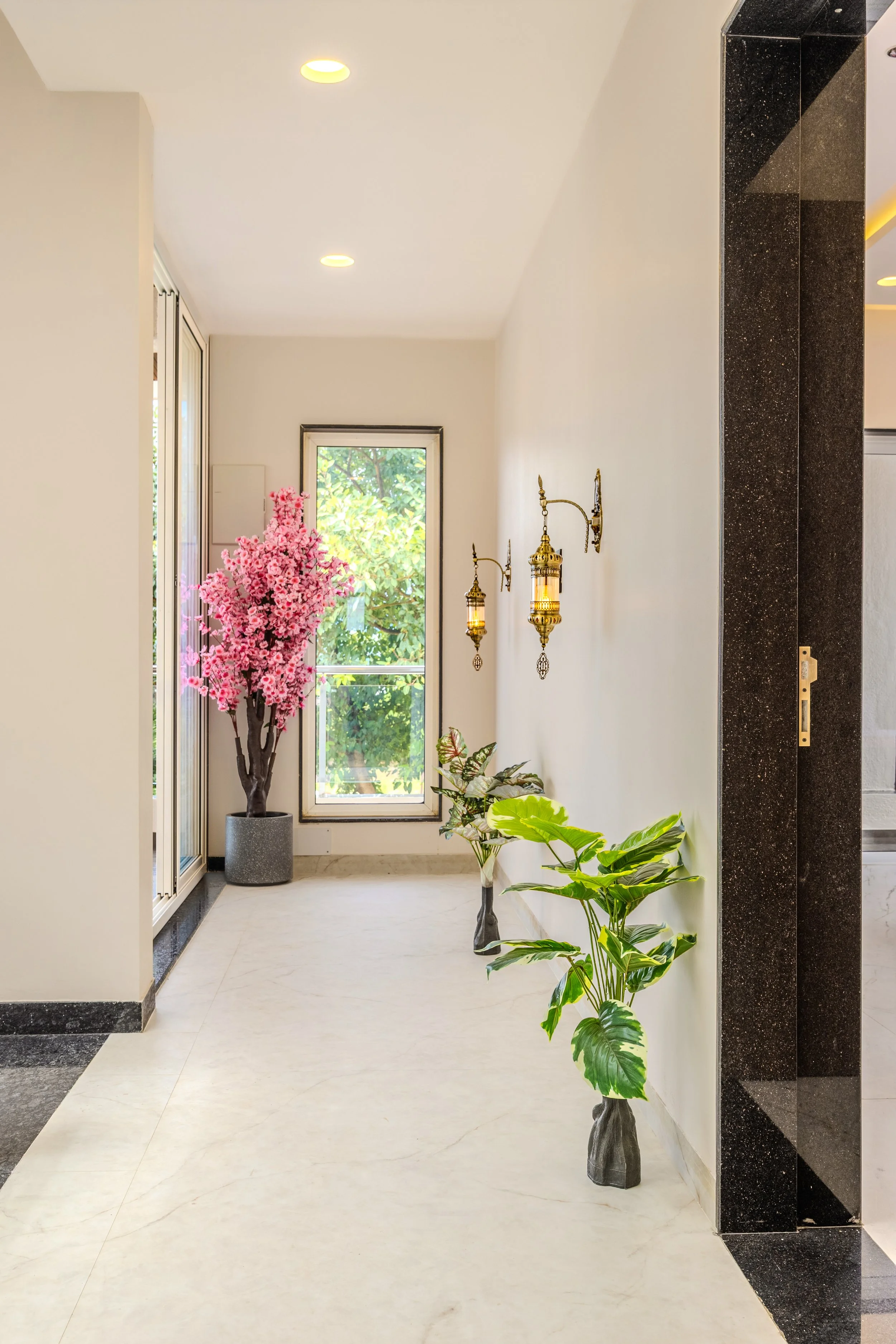 3S7A6520-HDR.jpg