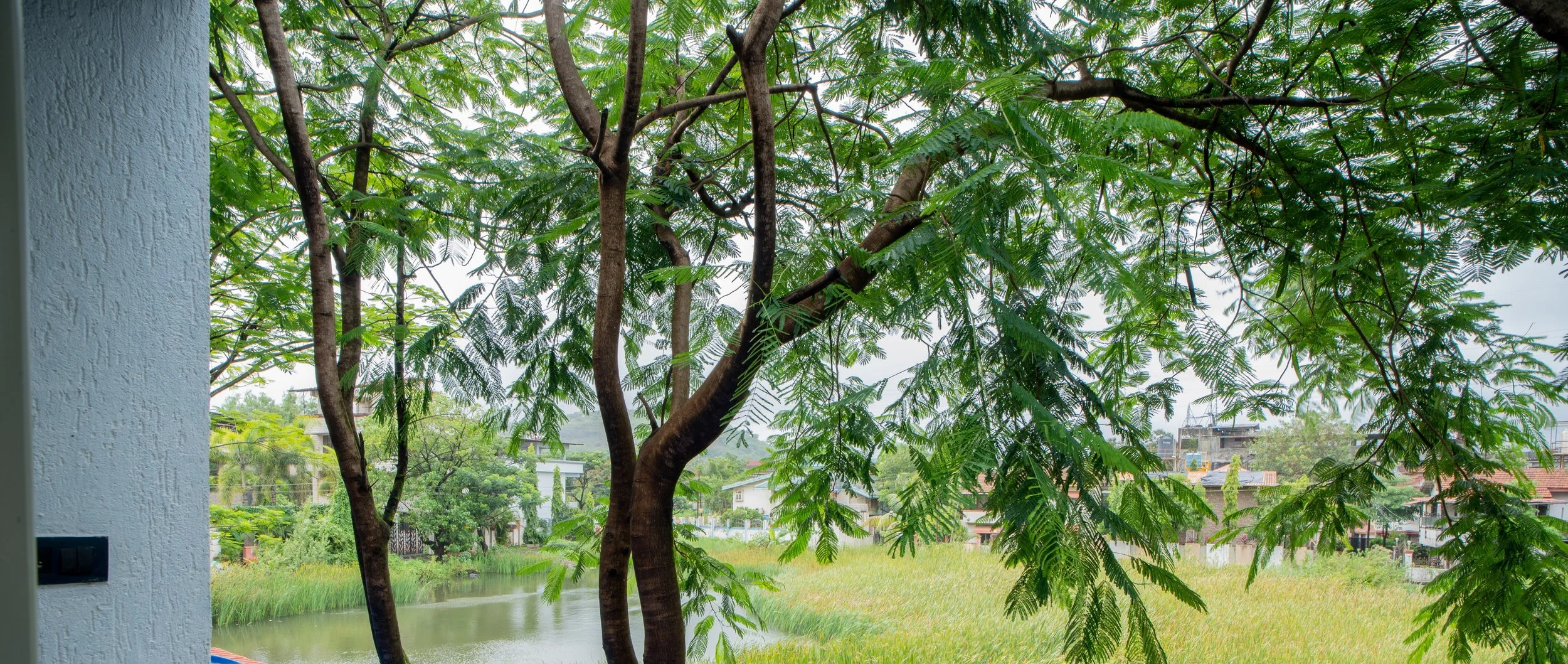 DSC00015.jpg