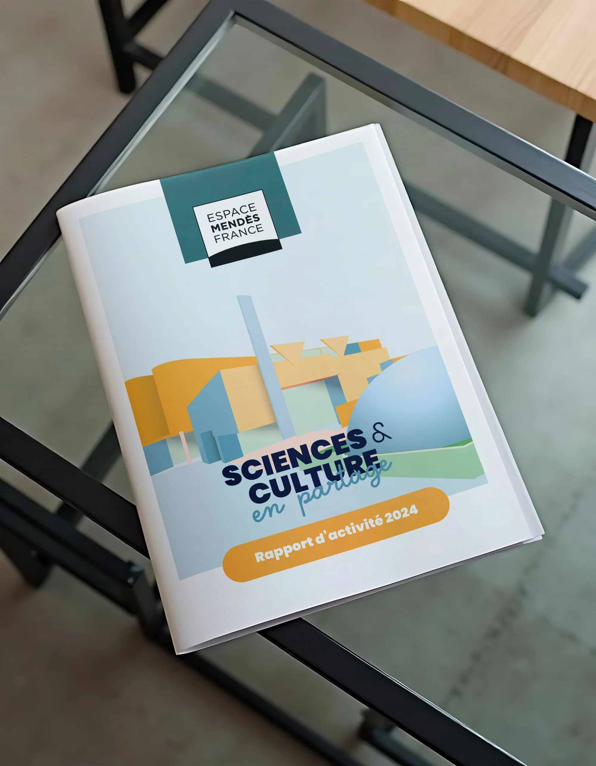 Rapport activité EMF