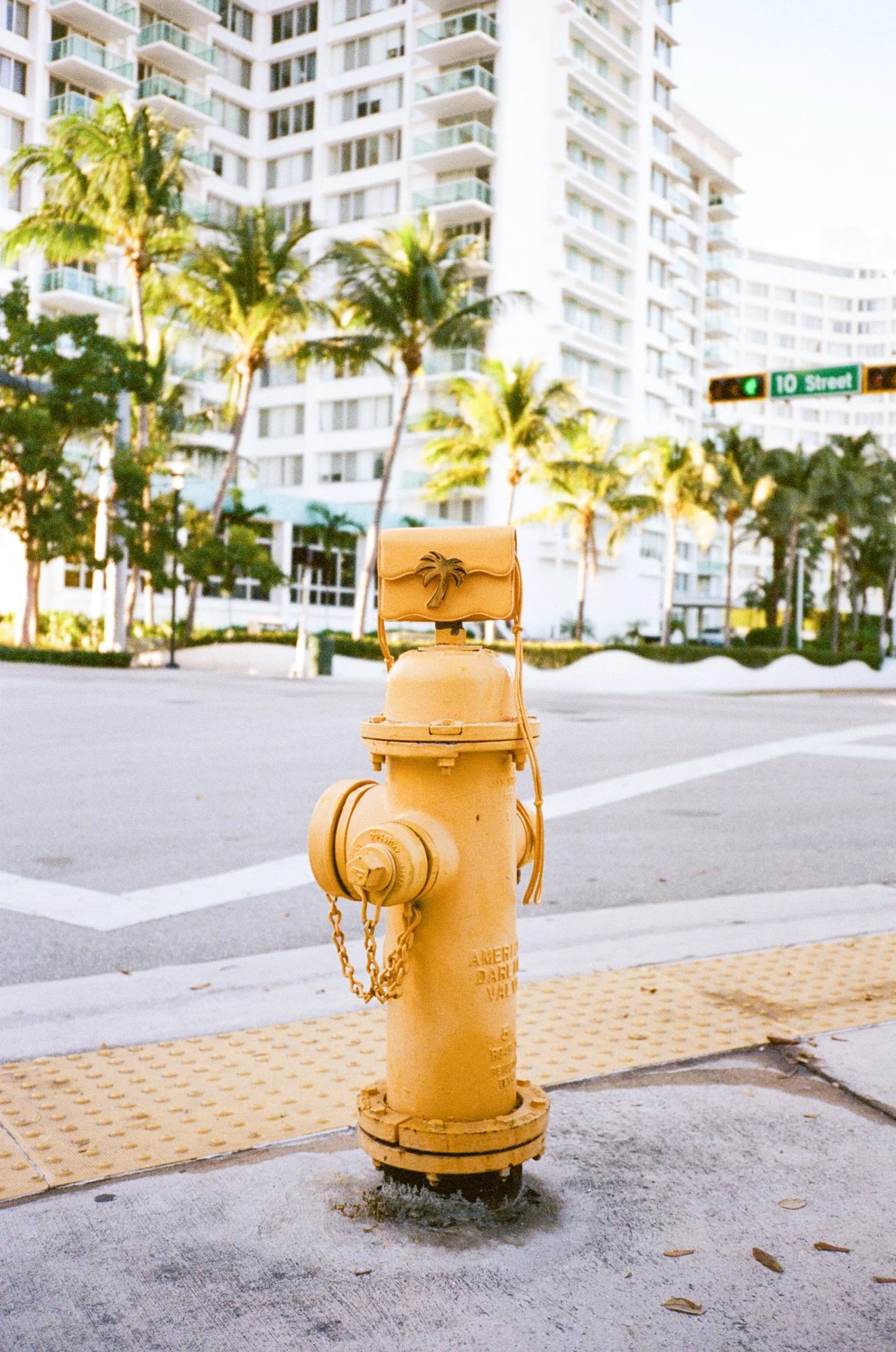 PALM ANGELS CAMPAIGN