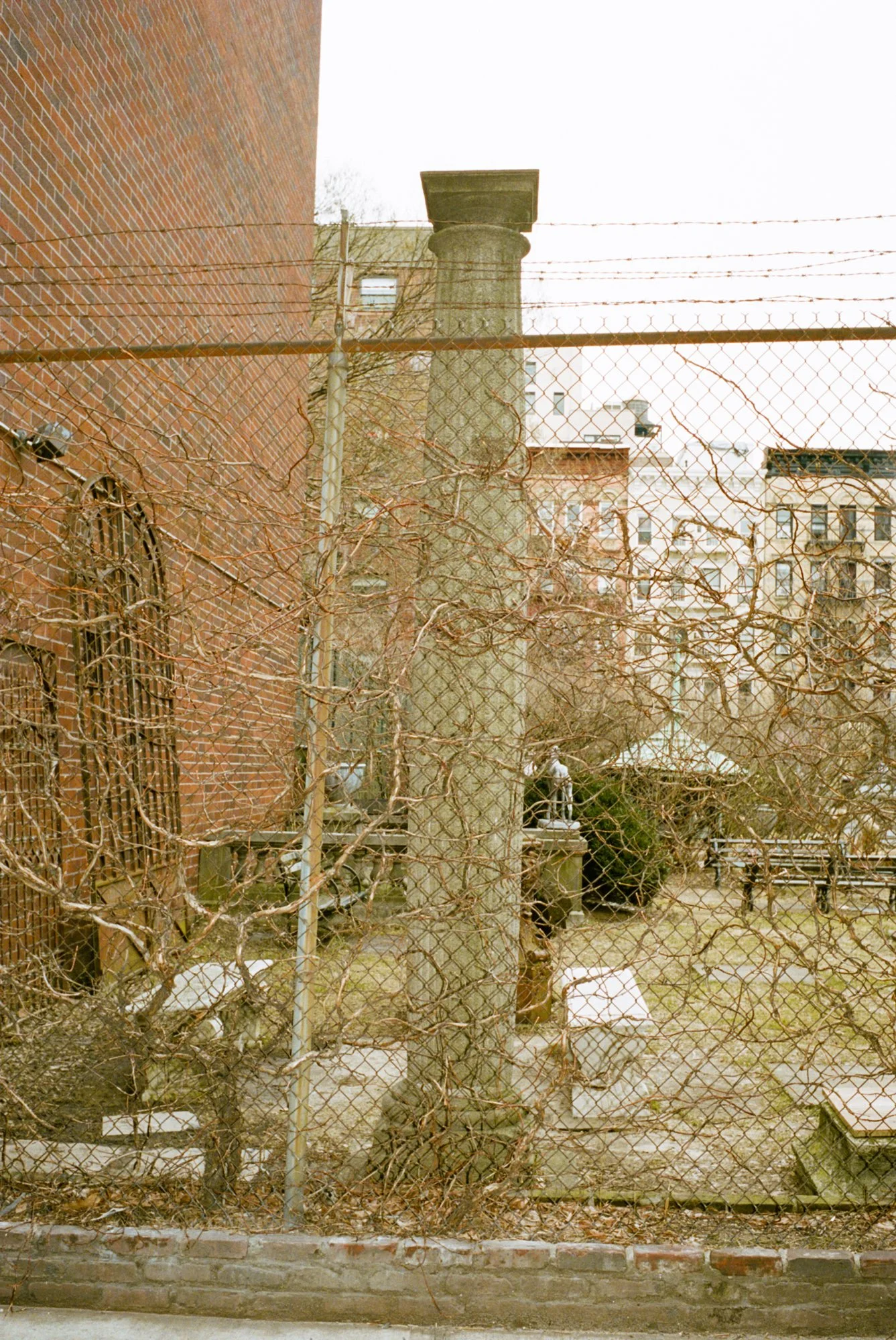 HUMAN RECREATIONAL SERVICES CAMPAIGN