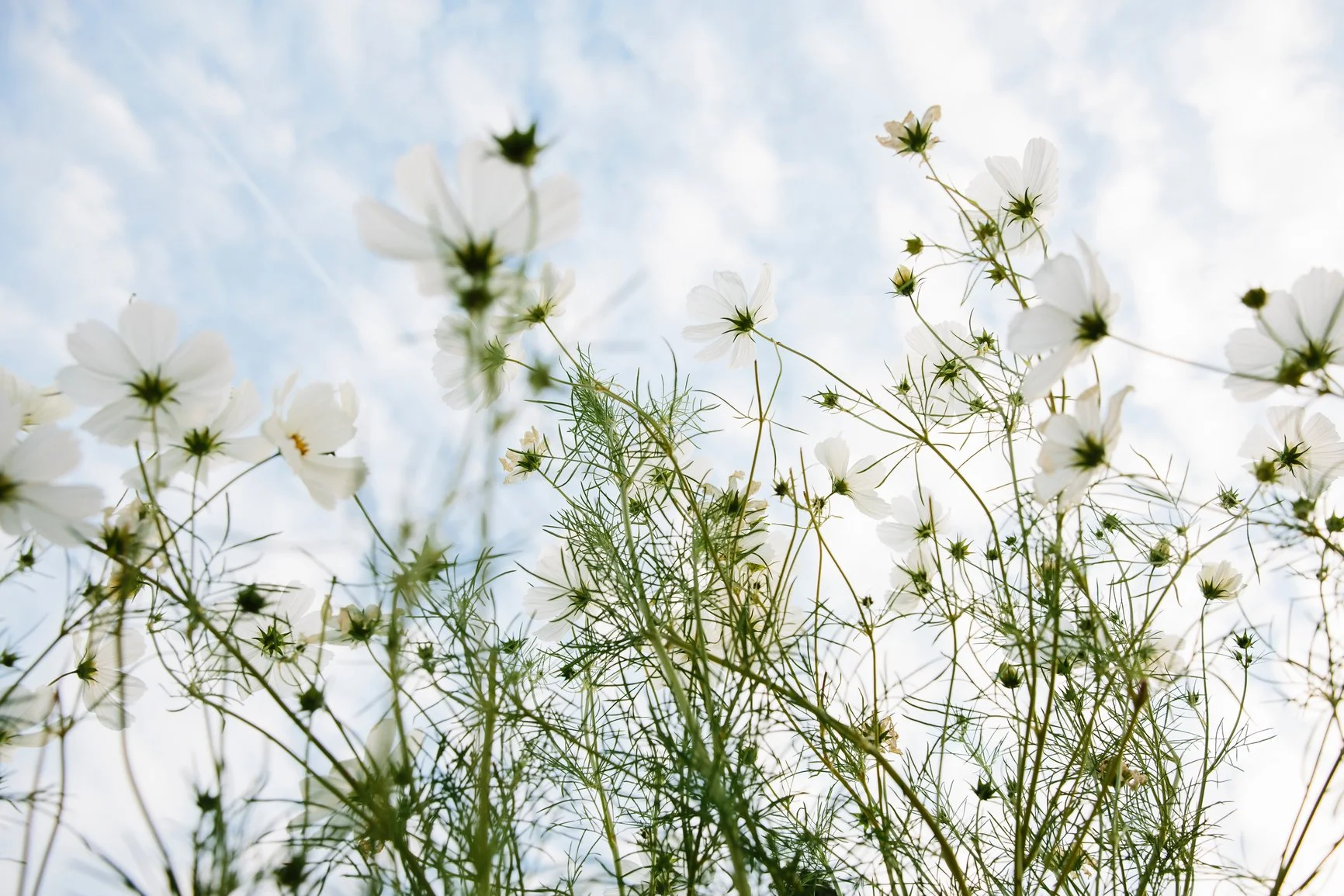 theMarilab_Bild-Services_Change-Transformation