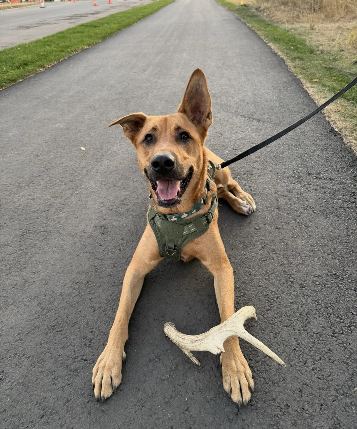 On Leash Group Session - Friday, April 24th - Participant Spot