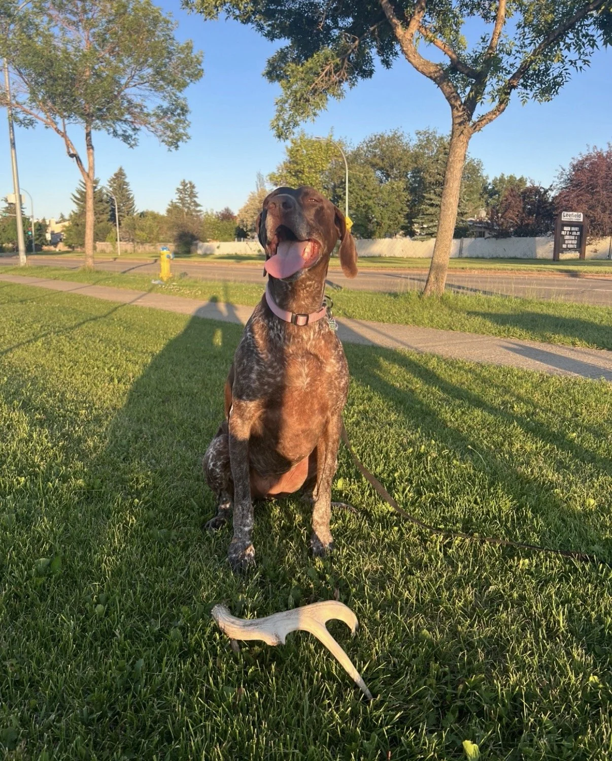 Group Observation Slots