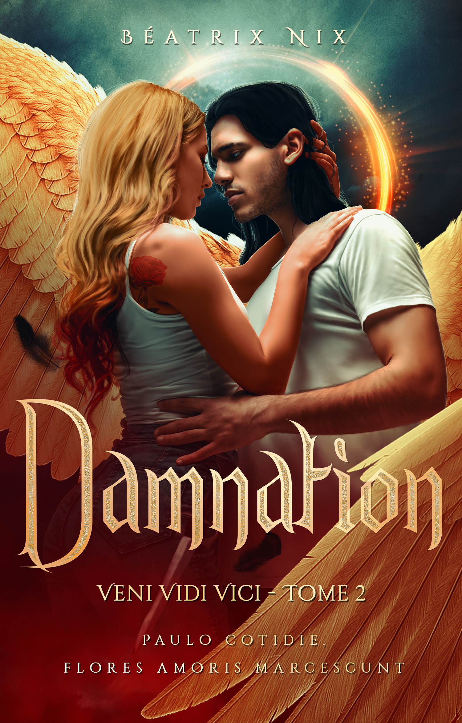 Couverture d'un livre intitulé "Damnation" avec deux personnages, une femme avec des ailes d'ange et un homme, se regardant intensément. Le fond montre un ciel étoilé avec un halo lumineux.