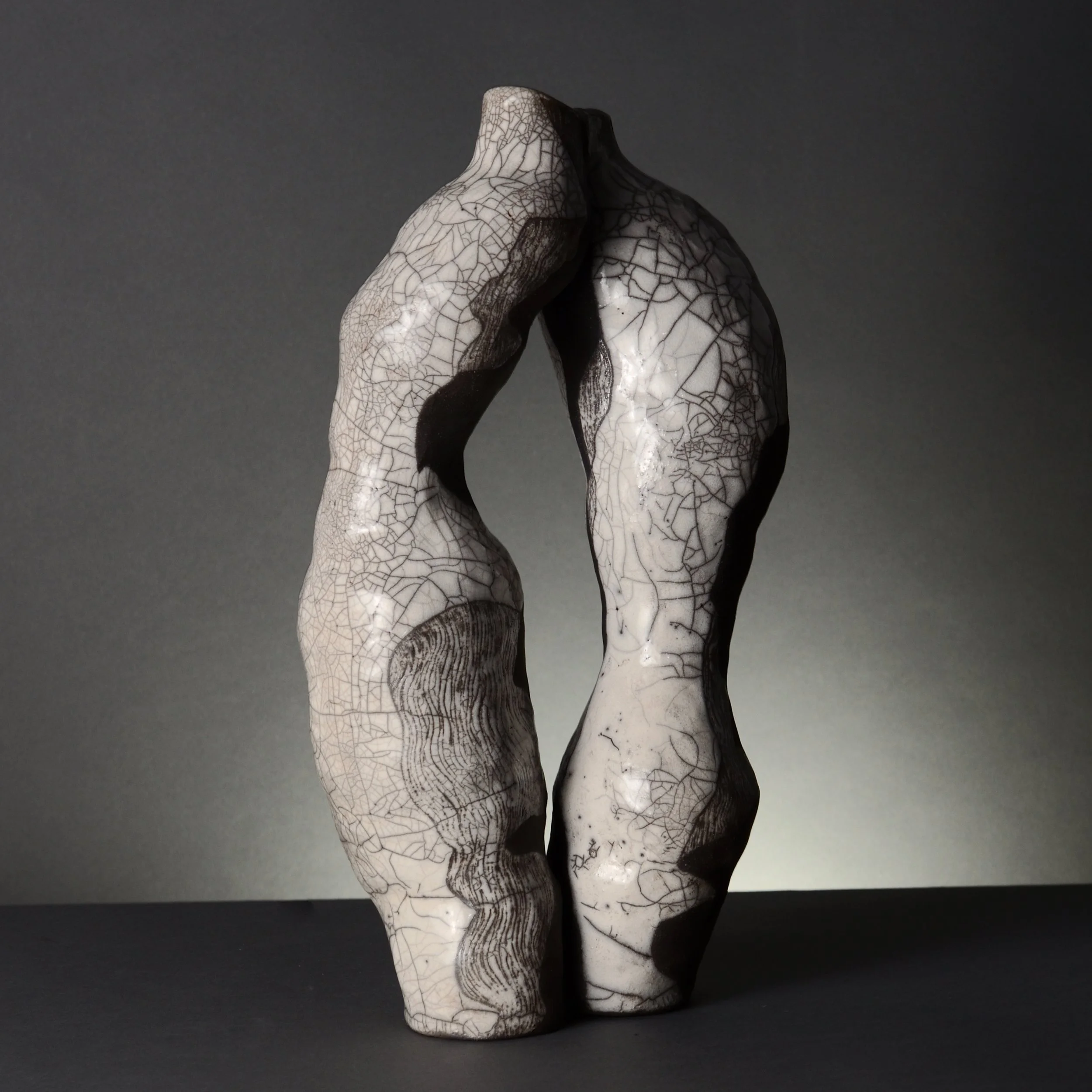 shadow vases project