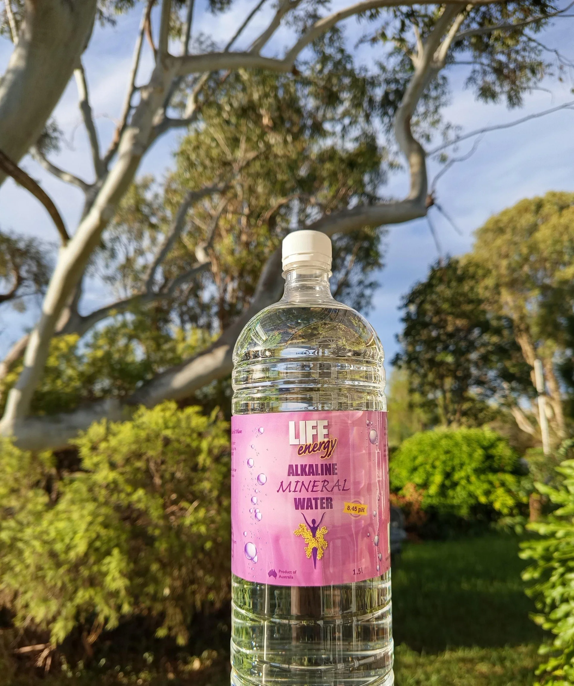 Life Energy Water