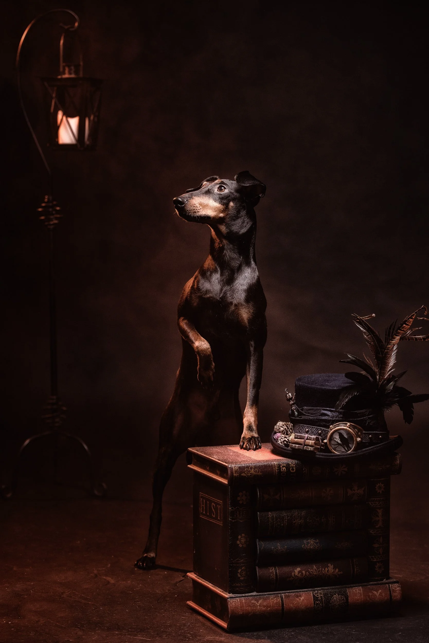 Creative portrait of a dog standing on books with vintage props and dramatic lighting
