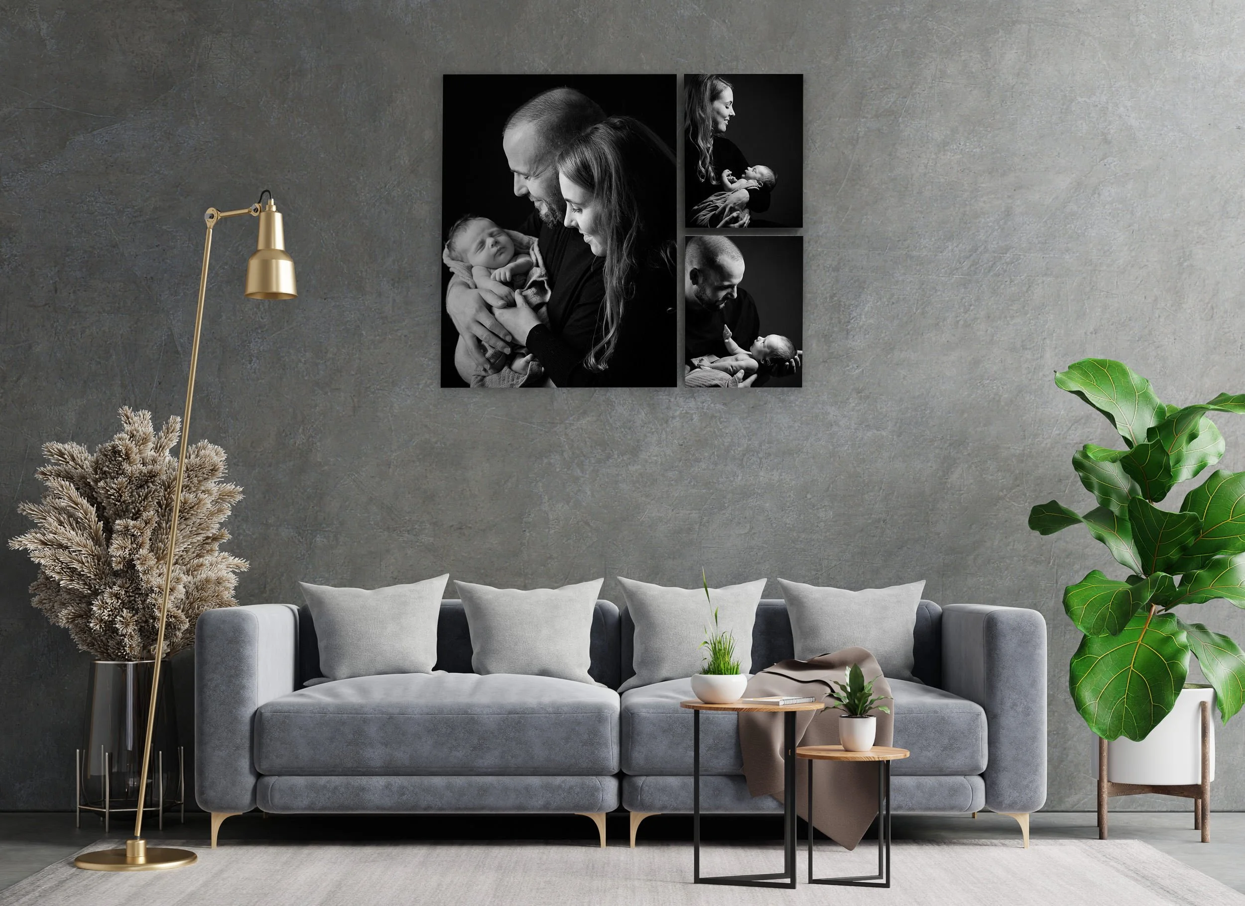 Modern living room with sofa, plants, and black and white framed photography displayed above.
