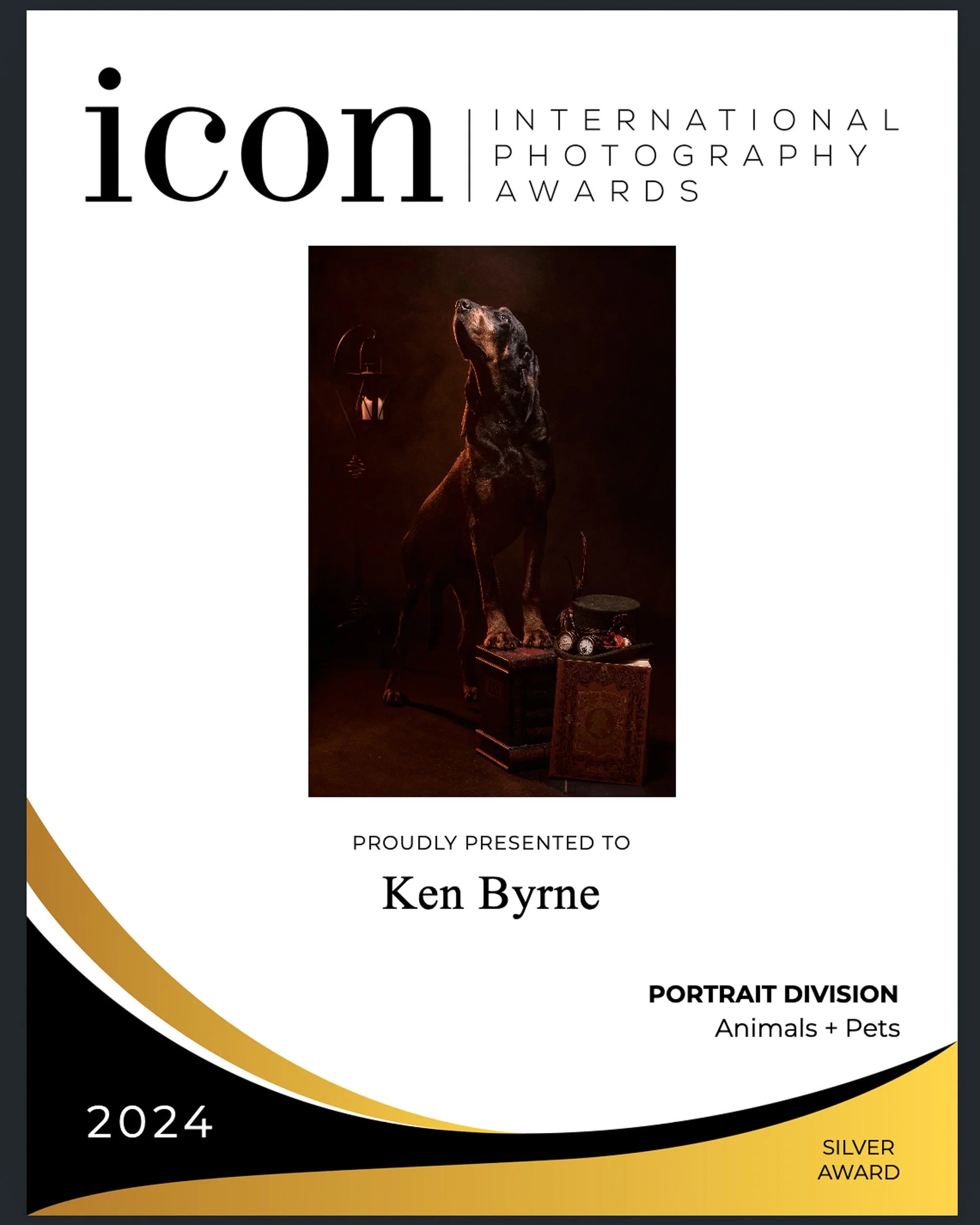 Photography Awards Ireland – animals and pets portrait award winning image