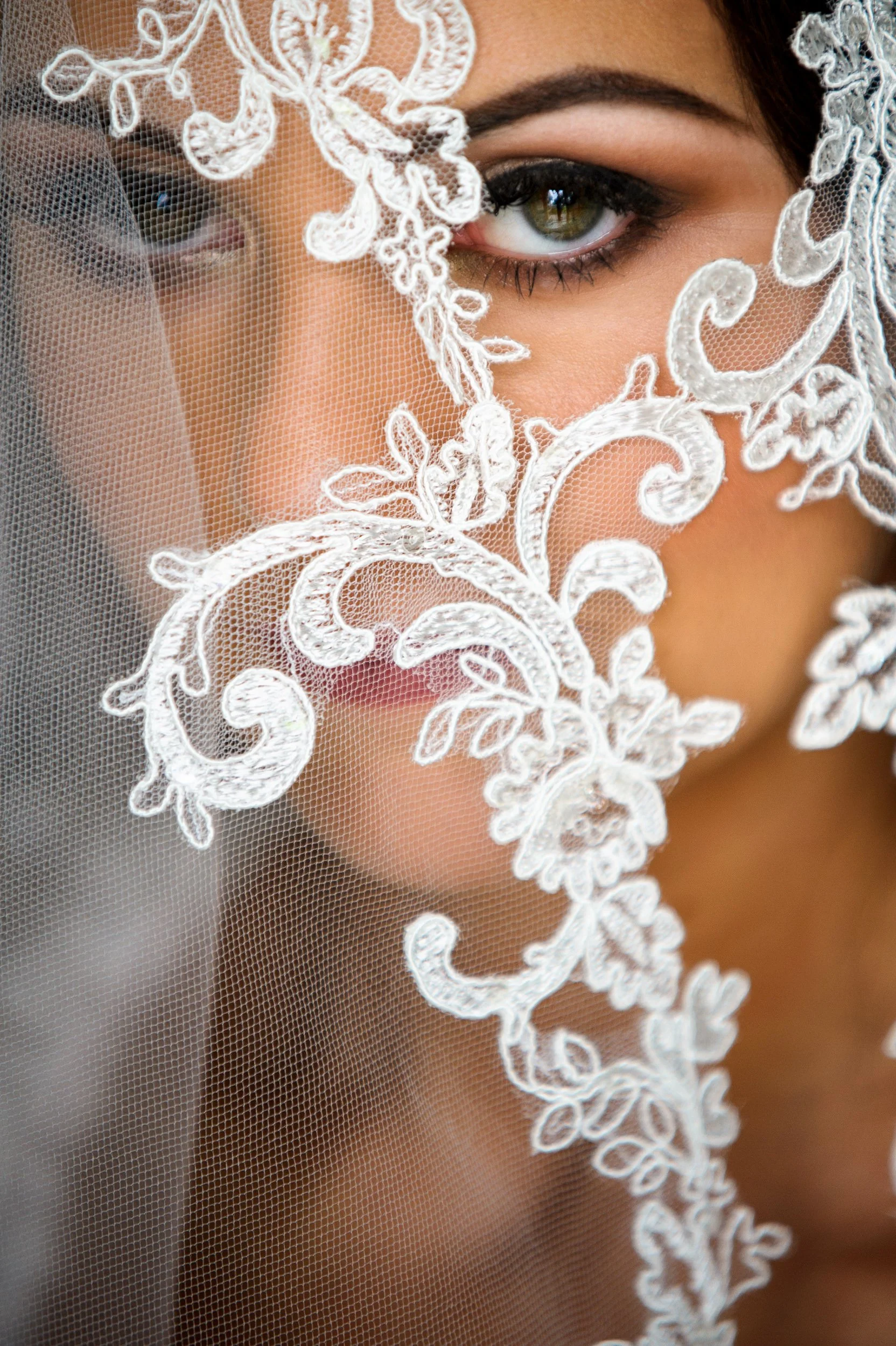 Wedding Photography Westmeath – bride portrait under veil at Glasson Lakehouse