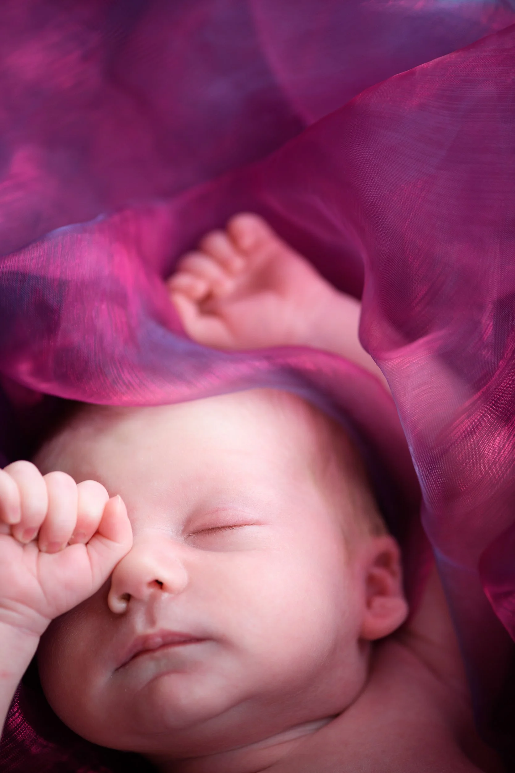 A sleeping baby wrapped in a sheer, pinkish-purple fabric.