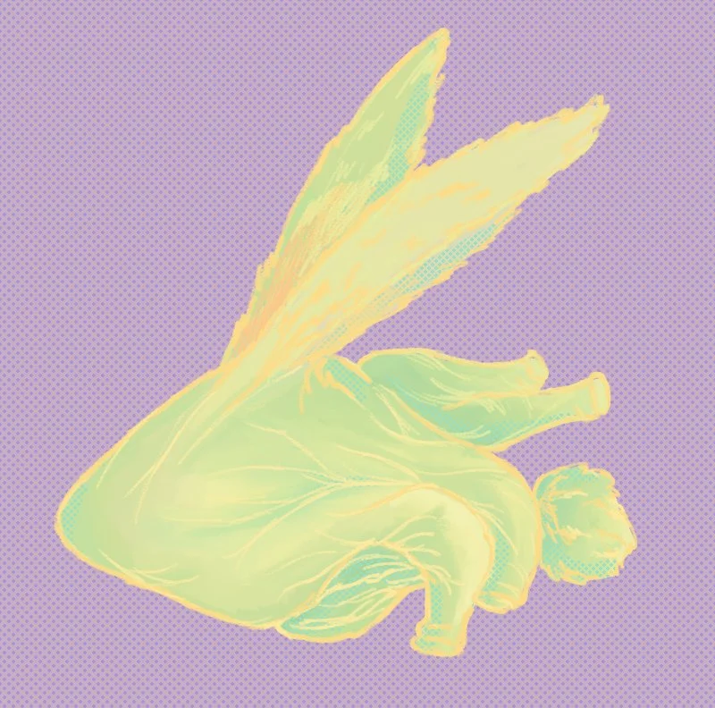 heart rabbit01.jpg