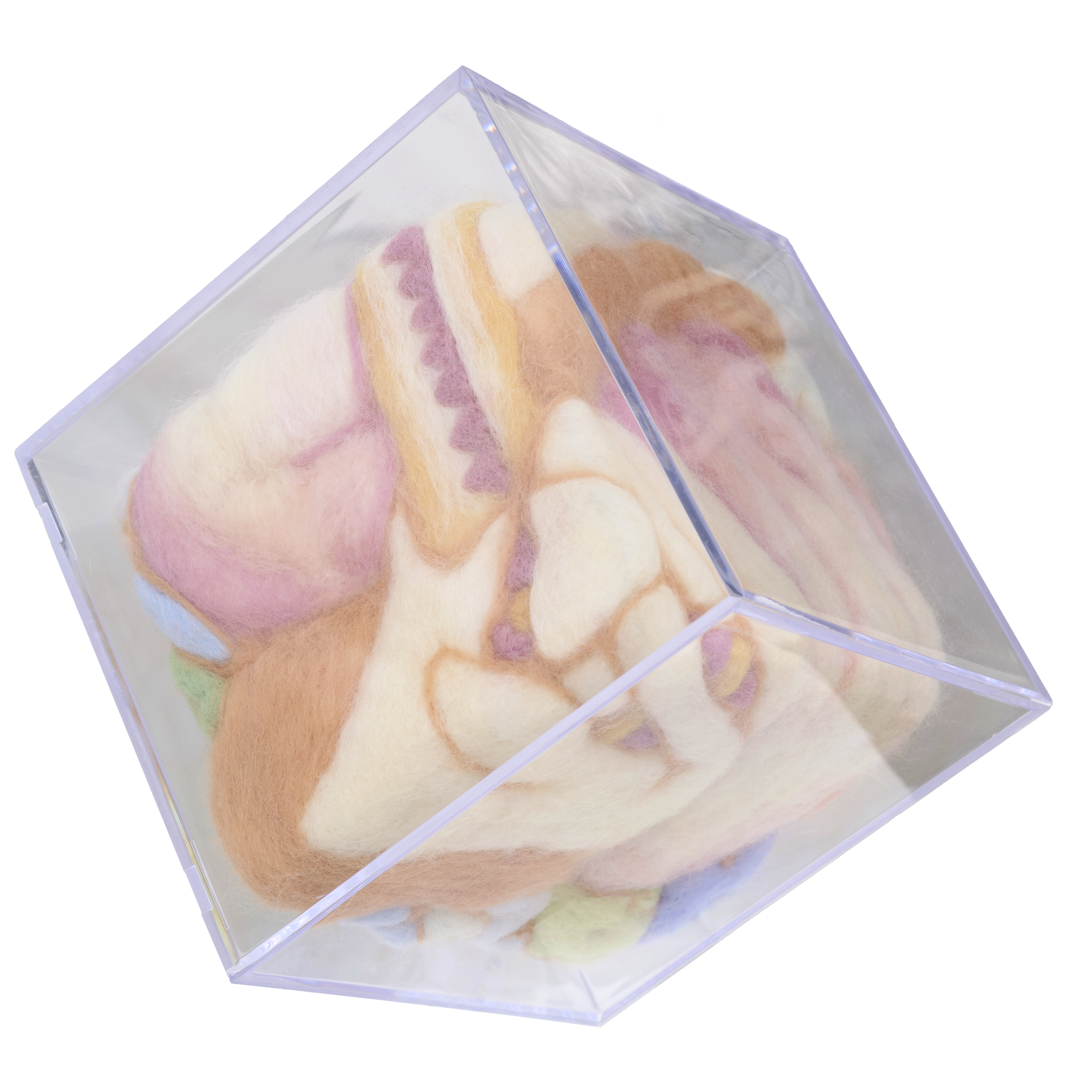 240830_多摩美_605 のコピー.png