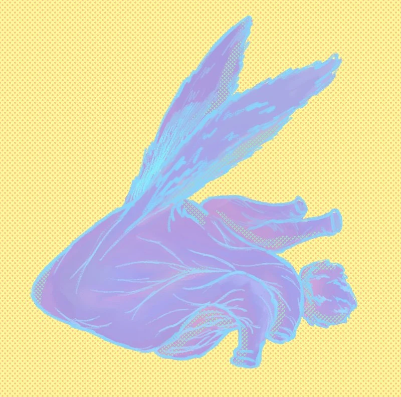 heart rabbit02.jpg