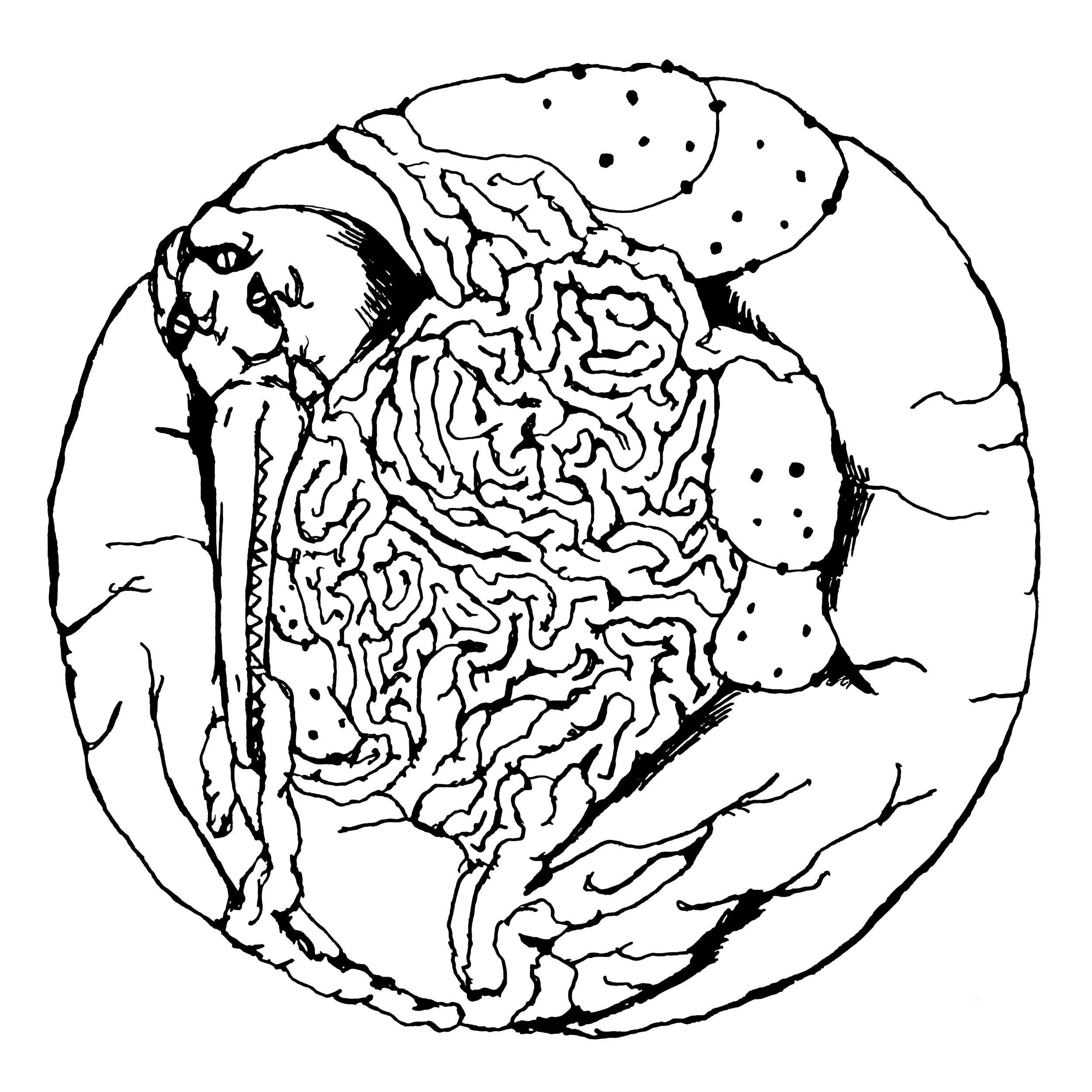 企鹅 copy.jpg