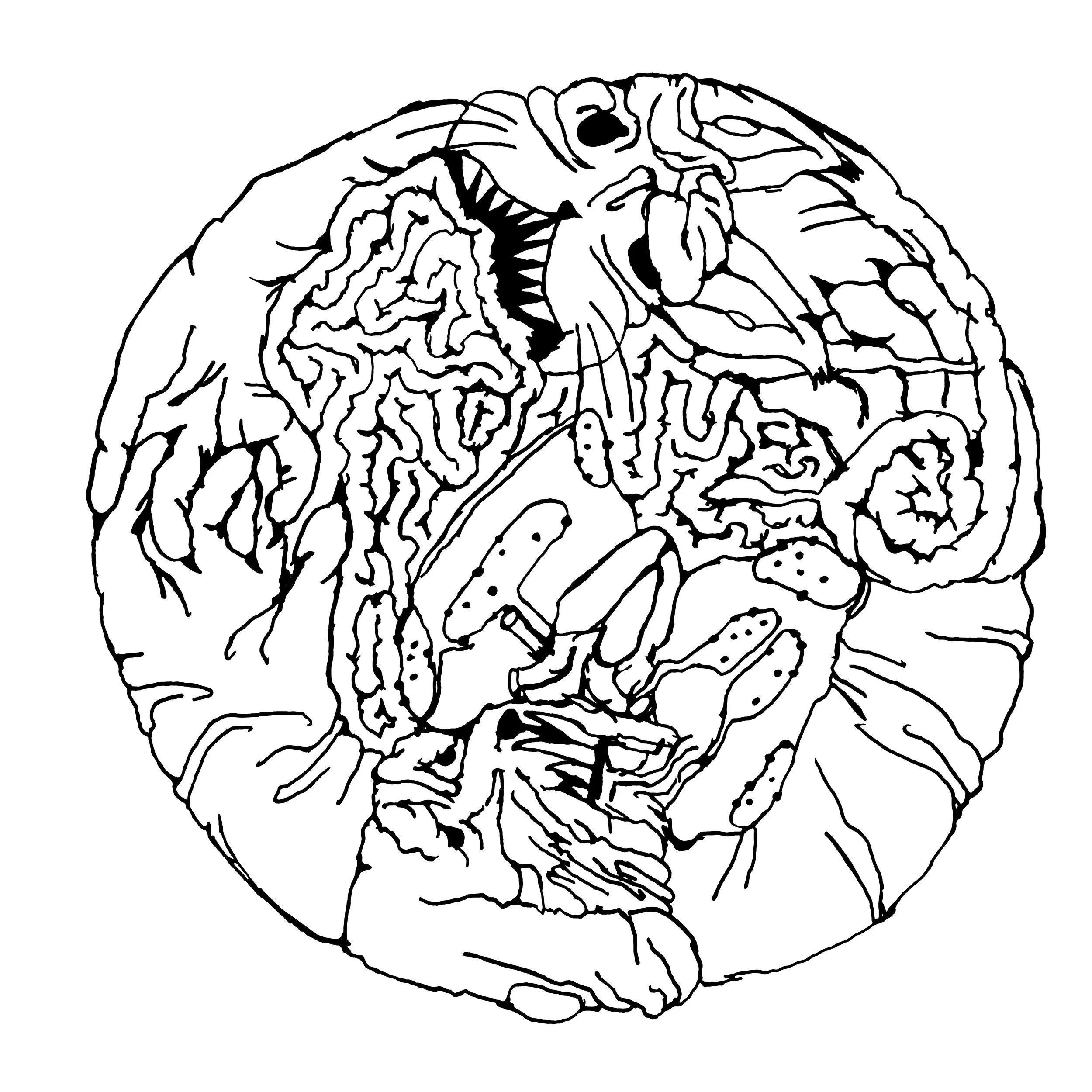 猫狗 copy.jpg